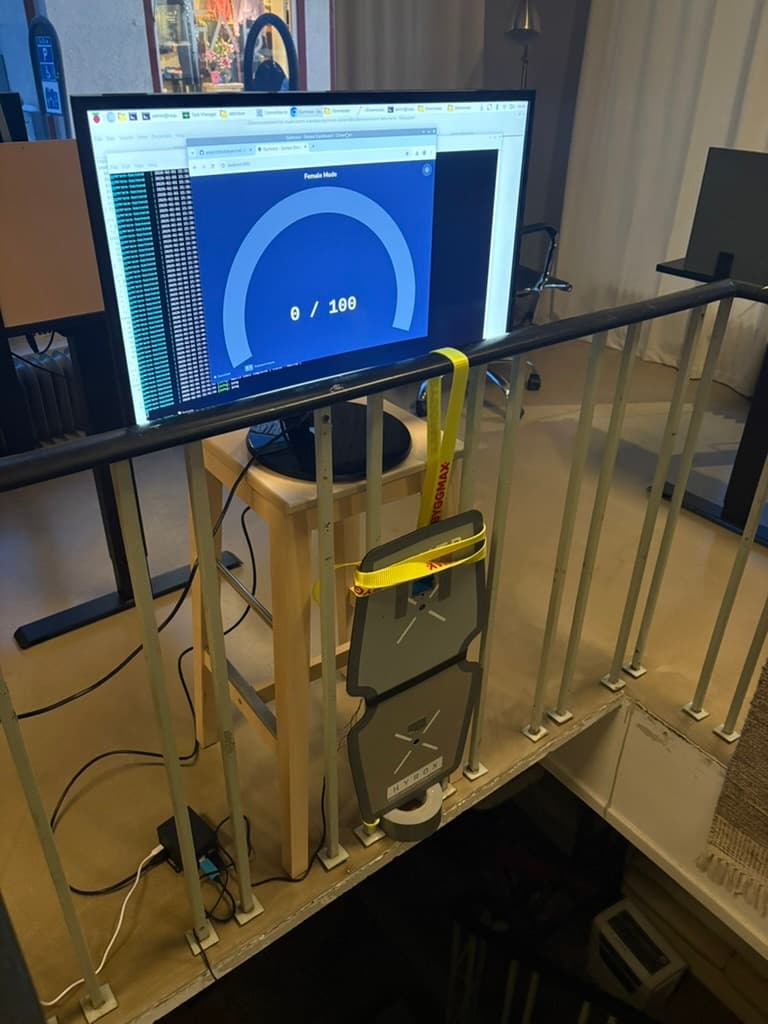 Testing the full system and doing real trials with all running on the RPi